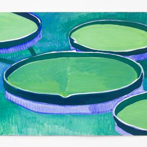 lily pad no.2  A study of distance between normal and abnormal
