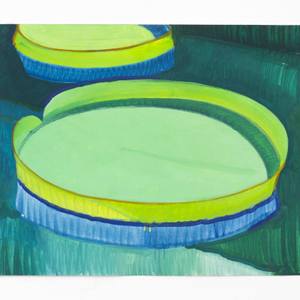 lily pad no.1 A study of distance between normal and abnormal