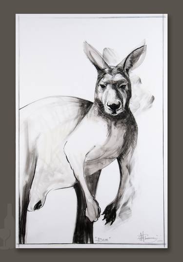 Portrait of Kangaroo No.1 thumb