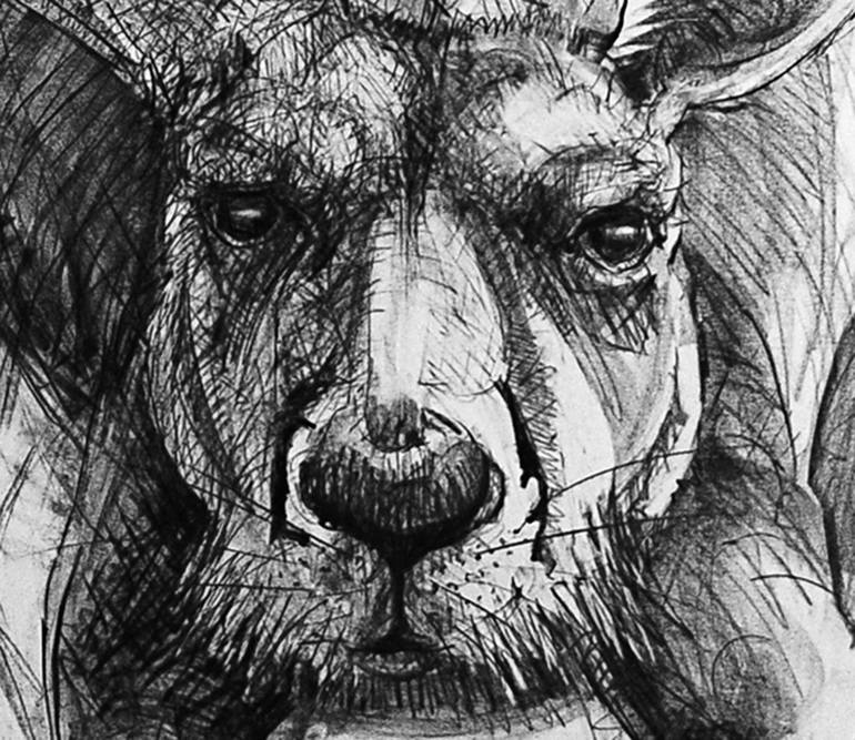 Original Animal Drawing by Michael Chorney