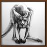 Portrait of Kangaroo No. 50