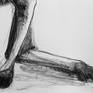 Detail C from Portrait of Kangaroo No. 50
