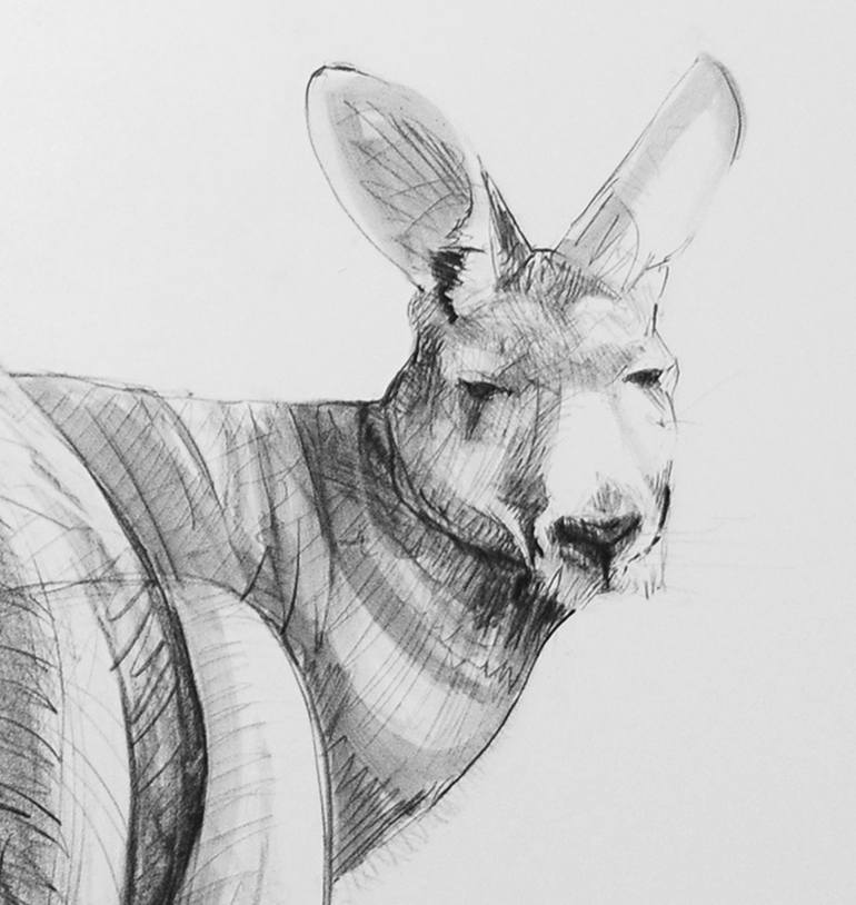 Original Figurative Animal Drawing by Michael Chorney