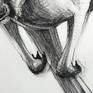Detail C from Portrait of Kangaroo No. 55
