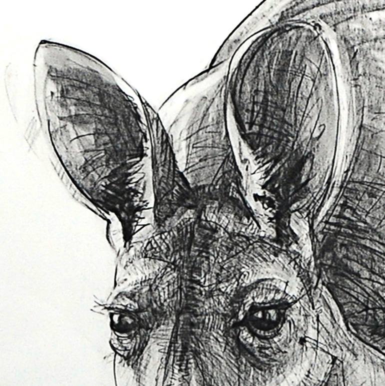 Original Animal Drawing by Michael Chorney