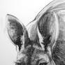 Detail B from Portrait of Kangaroo No. 55