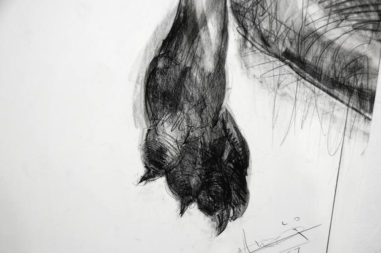 Original Figurative Animal Drawing by Michael Chorney