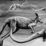 Detail A from Drawing of Kangaroos No. 54