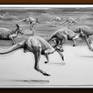 Drawing of Kangaroos No. 54
