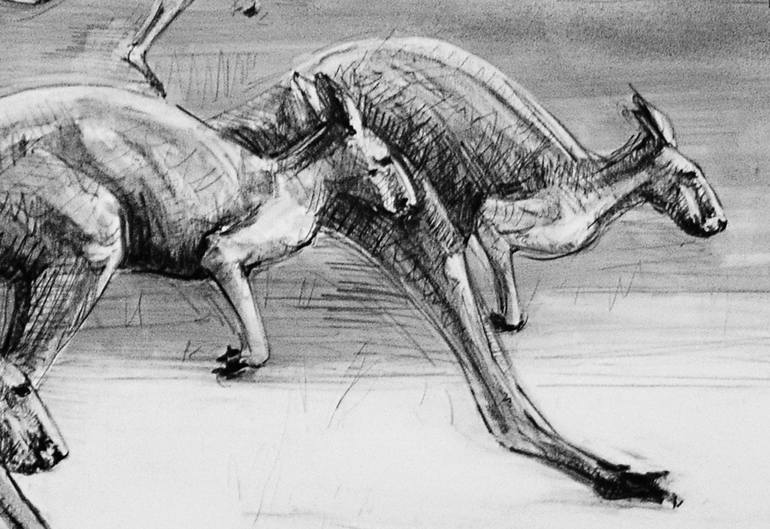 Original Animal Drawing by Michael Chorney