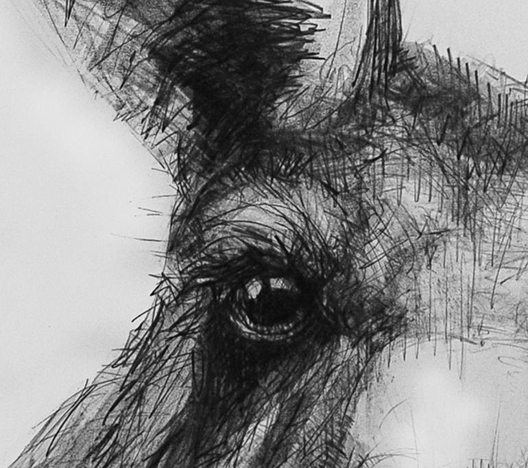 Original Expressionism Animal Drawing by Michael Chorney