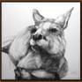 Portrait of Kangaroo No. 47