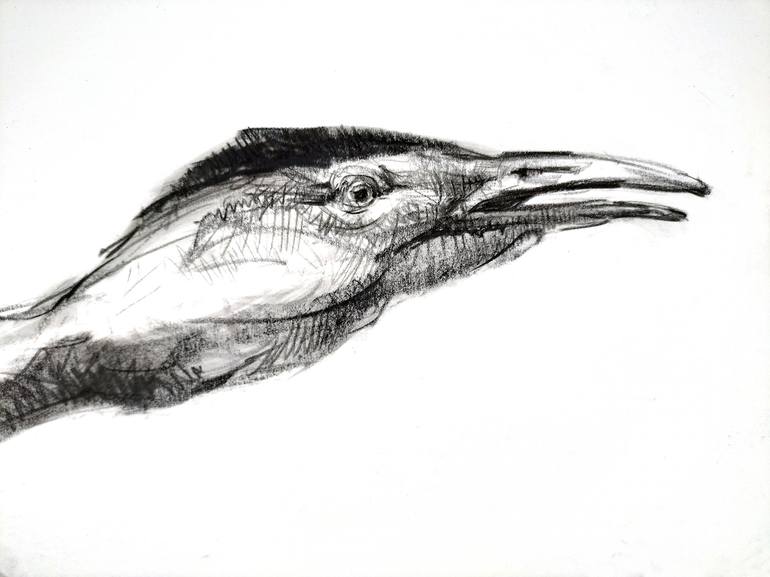 Original Figurative Animal Drawing by Michael Chorney