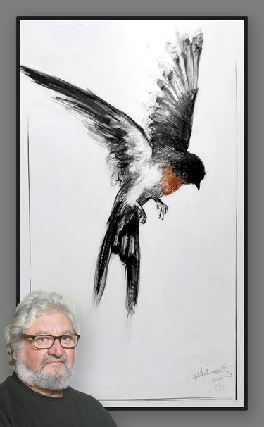 Saatchi Art Artist Michael Chorney; Drawings, “Drawing of bird No. 2 Welcome Swallow” #art
