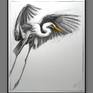 Bird drawing No. 9 (Great Egret)