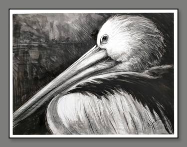 Bird Drawing No. 5 - Pelican at dusk thumb