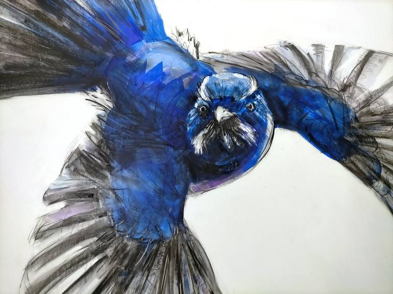 Original Animal Drawing by Michael Chorney