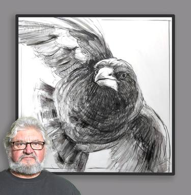 Saatchi Art Artist Michael Chorney; Drawings, “Diving Magpie - Drawing No. 10 by Michael Chorney” #art