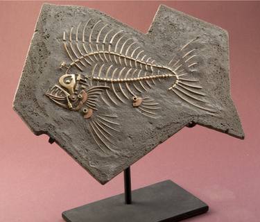 Steampunk: Fish Fossil 1 thumb