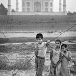 Collection India