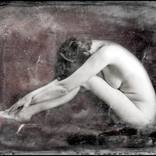 Collection The Nude as Muse.