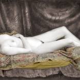 Collection Reclining Nudes
