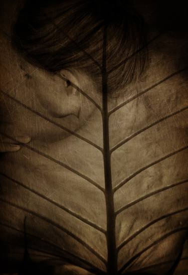 Original Abstract Botanic Photography by Erika Masterson