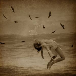 Favorites For $500 and Under