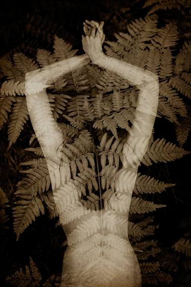 Original Conceptual Botanic Photography by Erika Masterson