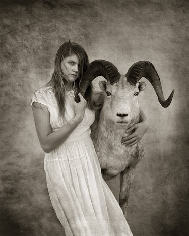 Original Conceptual Animal Photography by Erika Masterson