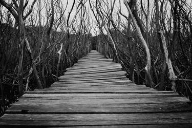 Boardwalk with Manzanita - Limited Edition 1 of 25 thumb