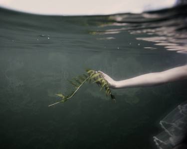 Original Water Photography by Erika Masterson