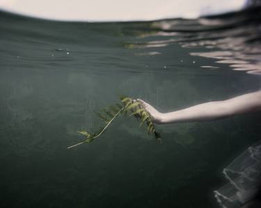 Original Conceptual Water Photography by Erika Masterson