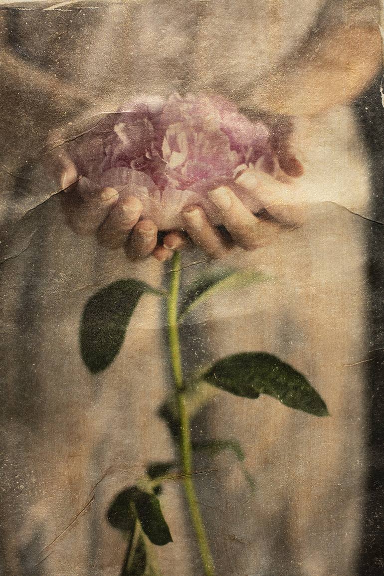 Original Fine Art Floral Photography by Erika Masterson