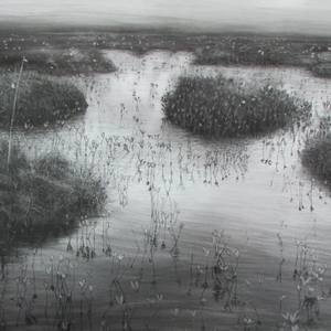 Forsinard Hummocks