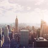 NY by Winkler Noah