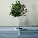 Seasons by Winkler Noah