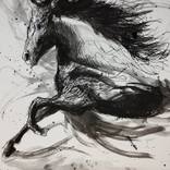 Wild Mustang by Richard Biro