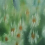 Daisies II by Olivia Rose Durley