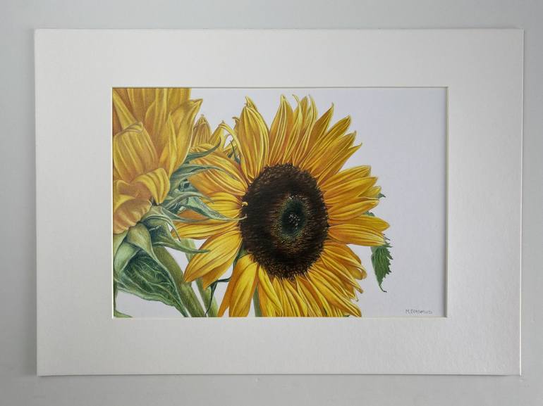 Original Photorealism Floral Drawing by Marie-Noëlle Erasmus