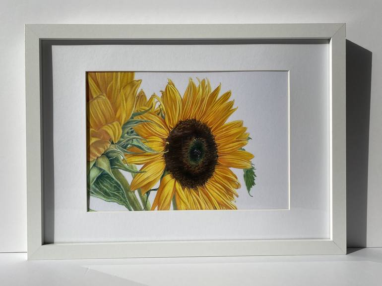 Sunflowers Drawing Drawing By Marie Noëlle Erasmus Saatchi Art