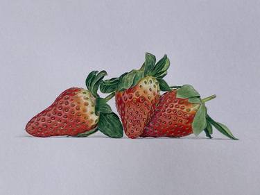 Strawberries Drawing thumb