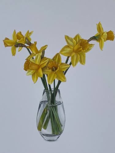 Daffodils Still Life Drawing thumb