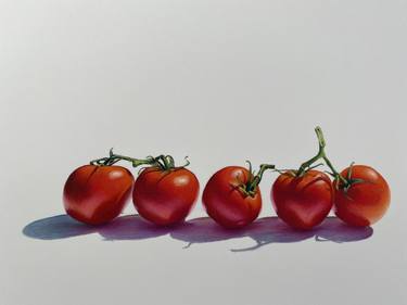 Tomatoes Still Life Drawing thumb