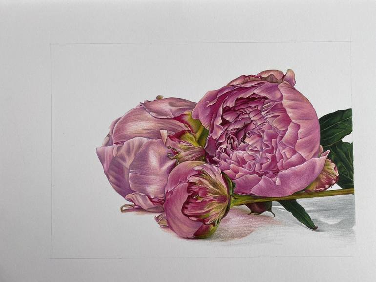 Original Realism Floral Drawing by Marie-Noëlle Erasmus