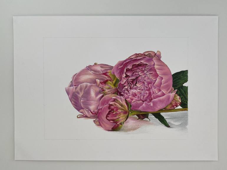 Original Realism Floral Drawing by Marie-Noëlle Erasmus