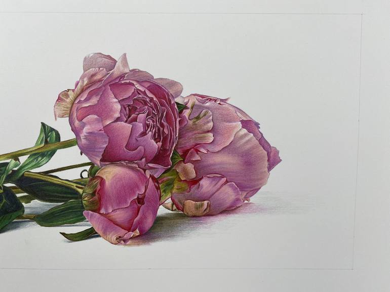 Original Realism Floral Drawing by Marie-Noëlle Erasmus