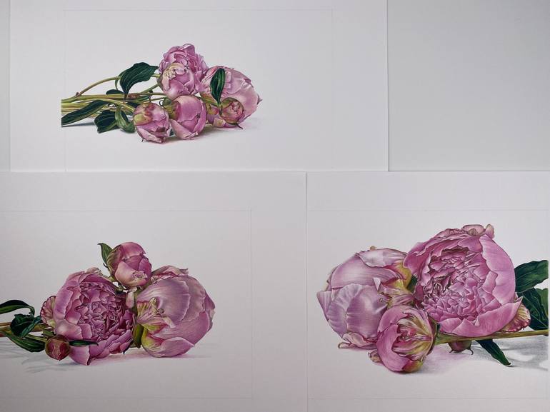 Original Photorealism Floral Drawing by Marie-Noëlle Erasmus