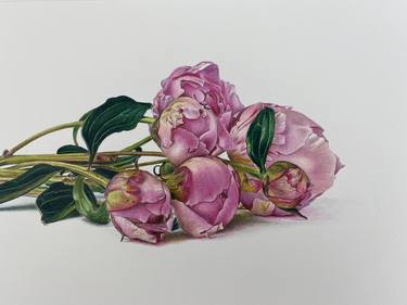 Original Photorealism Floral Drawings by Marie-Noëlle Erasmus