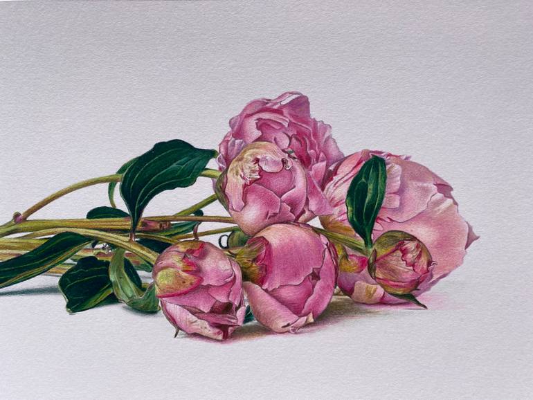 Original Photorealism Floral Drawing by Marie-Noëlle Erasmus
